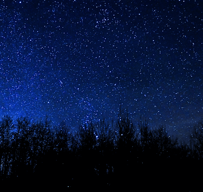 Hiking Errington Lake Lodge
